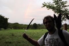 40