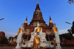 52880717_2070136266367571_7421963672311824384_n